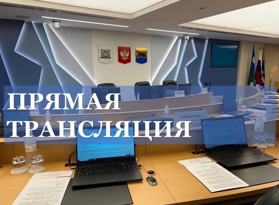 Прямая трансляция заседания Думы города